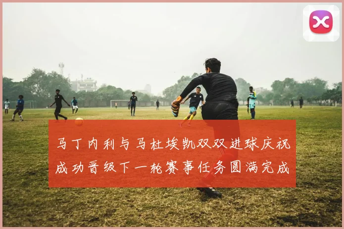 马丁内利与马杜埃凯双双进球庆祝成功晋级下一轮赛事任务圆满完成