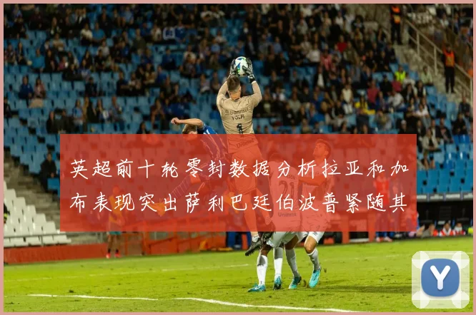 英超前十轮零封数据分析拉亚和加布表现突出萨利巴廷伯波普紧随其后