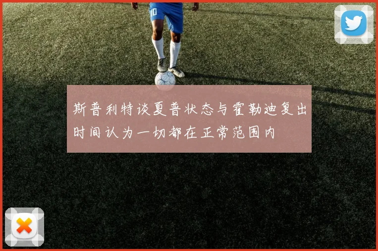 斯普利特谈夏普状态与霍勒迪复出时间认为一切都在正常范围内